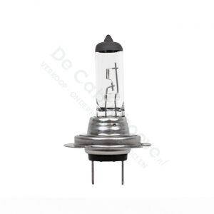 MX5 H7 Lamp